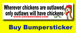 Buy outlaw chicken bumper stickericker